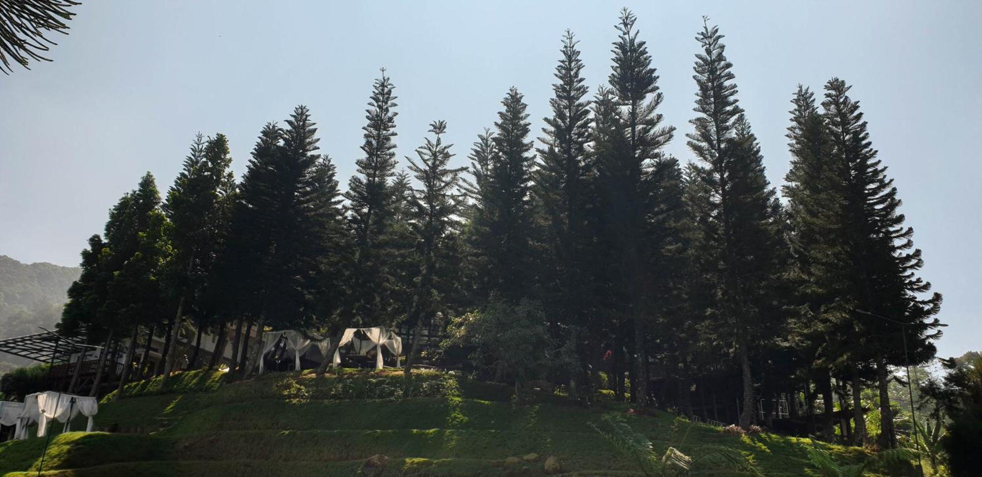 Damar Langit Resort Cisarua Exterior foto